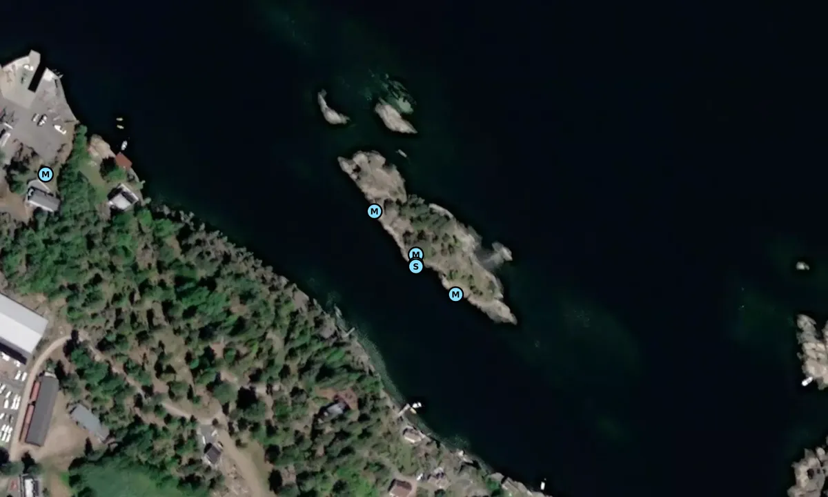 Satelite image of Rognholmen