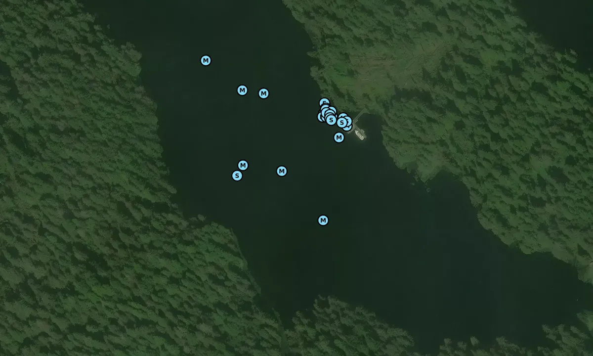 Satelite image of Roosevelt Lagoon