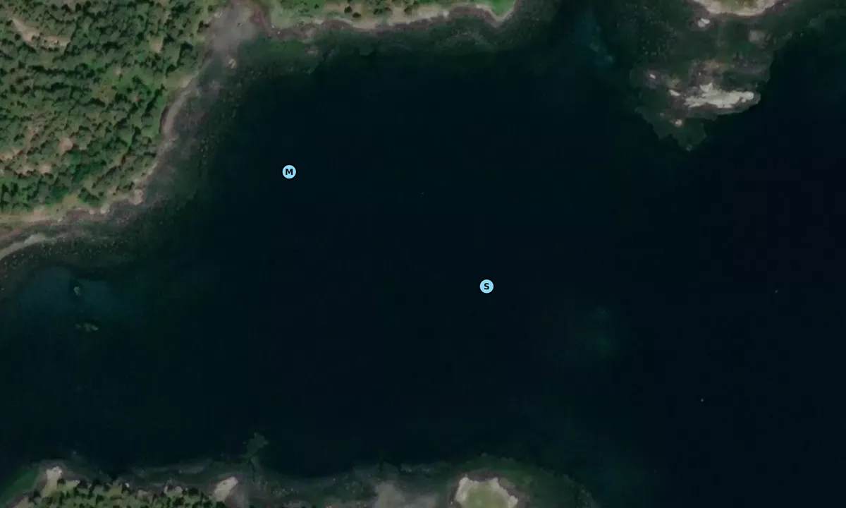 Satelite image of Roparholmen