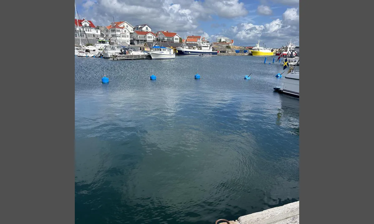 Rörö: {"base": "se", "no": "B\u00f8ye for fort\u00f8yning", "se": "Bojf\u00f6rt\u00f6jning", "en": "Mooring Buoy", "da": "B\u00f8je fort\u00f8jning", "fr": "Amarrage sur bou\u00e9e", "de": "Bojeverankerung", "es": "Amarre a boya", "it": "Ancora a boe", "pt": "Amarra\u00e7\u00e3o em boia", "nl": "Boeiaansluiting", "pl": "Moorowanie do boi", "uk": "\u0428\u0432\u0430\u0440\u0442\u0443\u0432\u0430\u043d\u043d\u044f \u0434\u043e \u0431\u0443\u0439\u043a\u0430", "ro": "Ancorare cu geamandur\u0103", "tr": "\u015eamand\u0131ra ba\u011flama", "el": "\u03a0\u03c1\u03cc\u03c3\u03b4\u03b5\u03c3\u03b7 \u03bc\u03b5 \u03c3\u03b7\u03bc\u03b1\u03b4\u03bf\u03cd\u03c1\u03b1", "cs": "Kotven\u00ed na b\u00f3ji", "hu": "Horgonykik\u00f6t\u00e9s", "fi": "Poijukiinnitys", "bg": "\u0410\u043a\u043e\u0441\u0442\u0438\u0440\u0430\u043d\u0435 \u0434\u043e \u0431\u0443\u0439", "sr": "Sidrenje uz bovu", "et": "Poik\u00f6ie kinnitamine", "lv": "Enkura piesie\u0161ana", "lt": "Pl\u016bduro prisi\u0161vartavimas"}