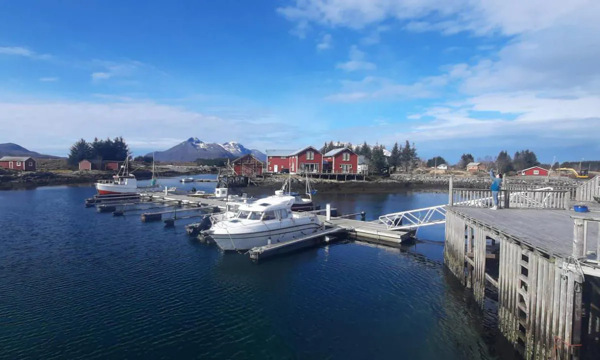 Rørøya