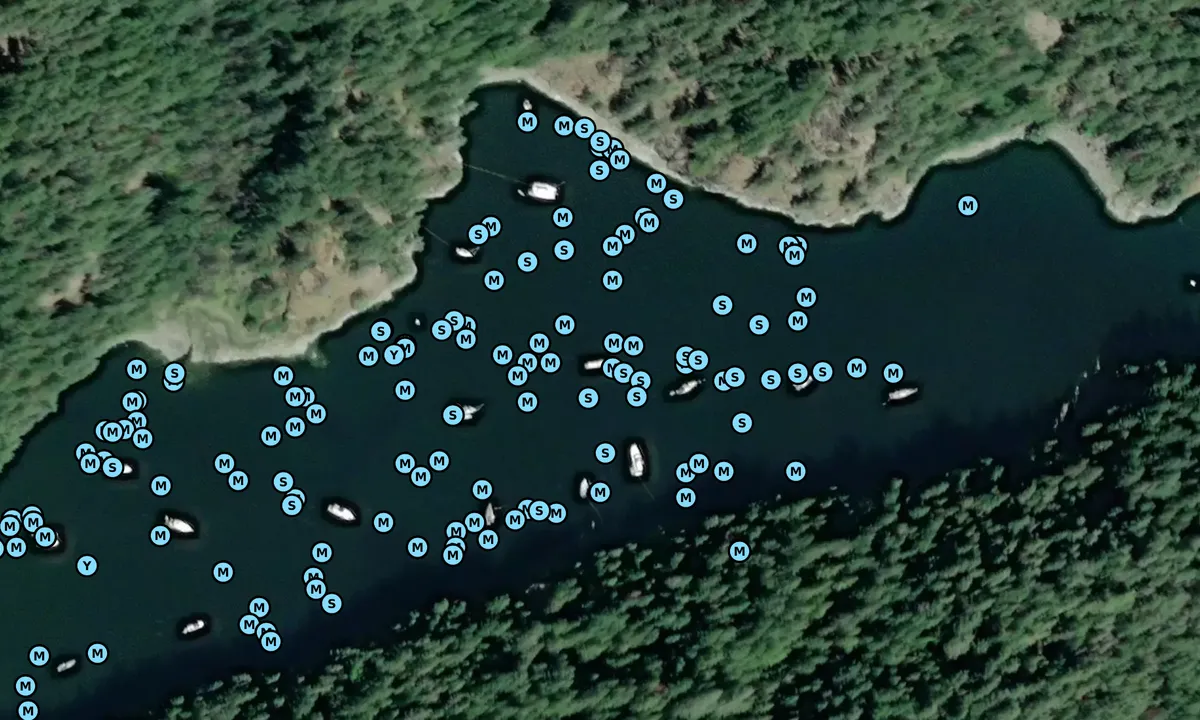 Satelite image of Roscoe Bay
