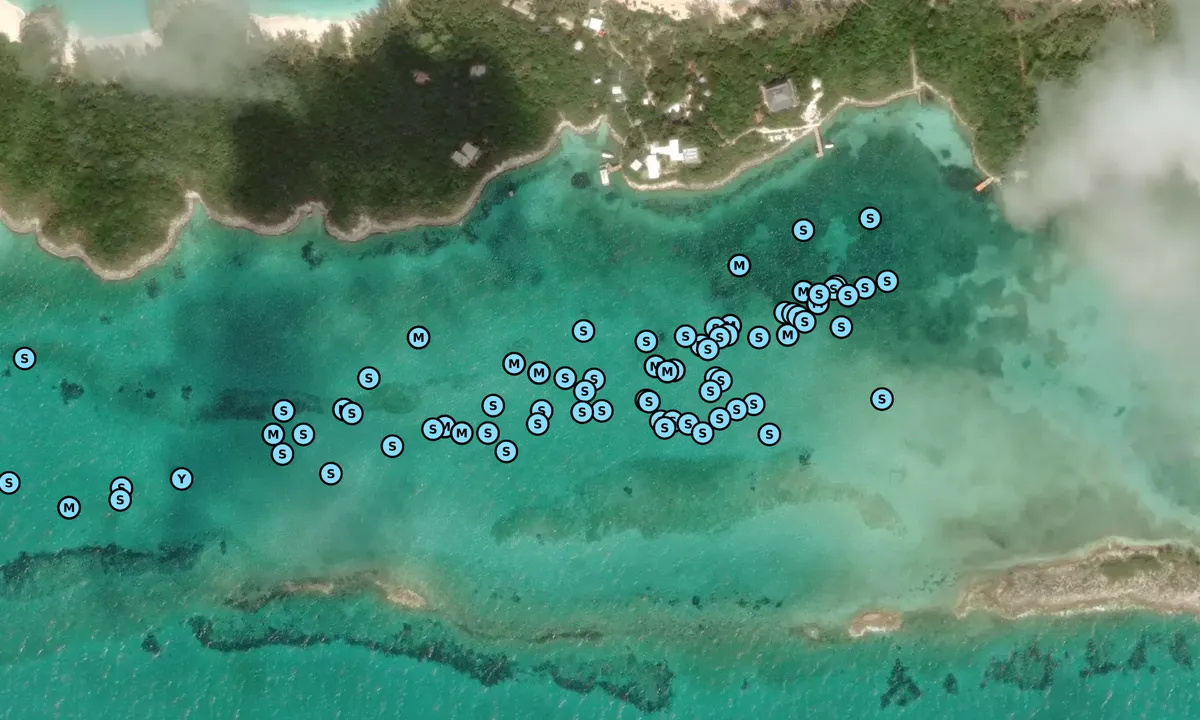 Satelite image of Rose Island