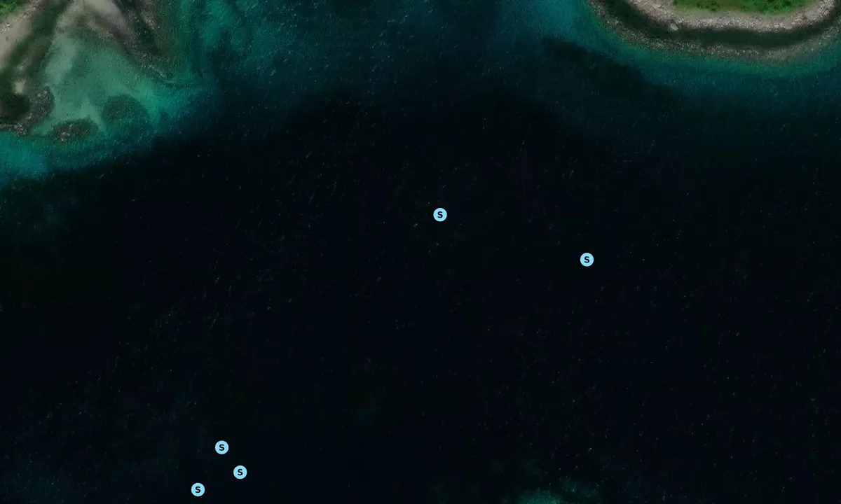 Satelite image of Røsneshamn