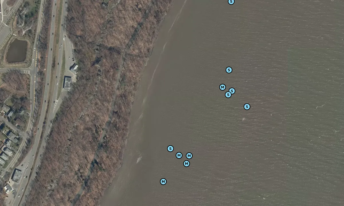 Satelite image of Ross Dock Park