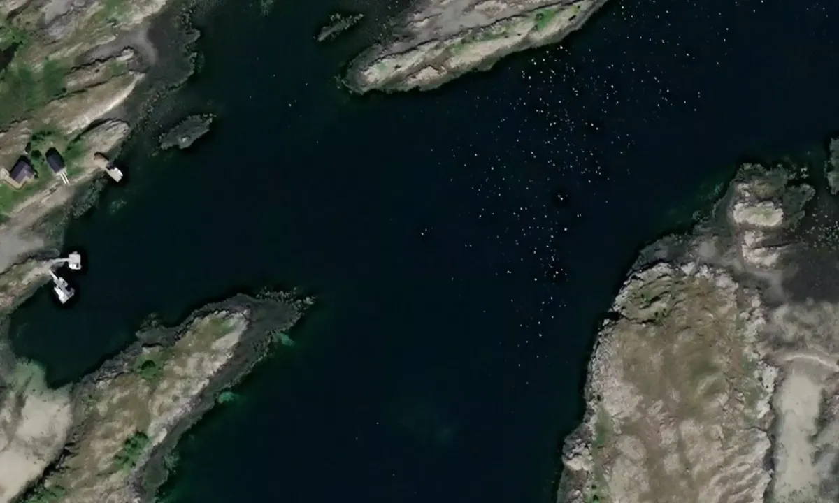 Satelite image of Rossøyvågen