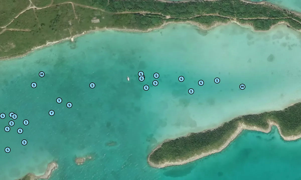 Satelite image of Royal Island