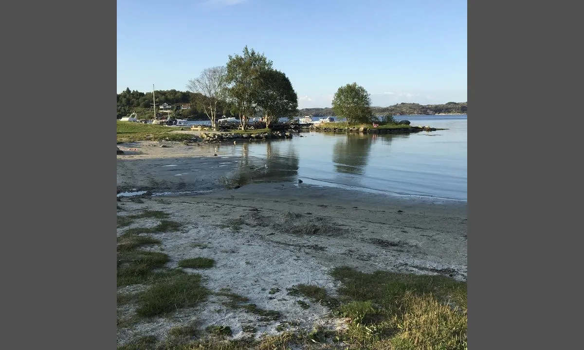 Røyksund Båtforening: En liten badestrand for de minste. Ellers gressområder og opplevelsesløype i skogen.