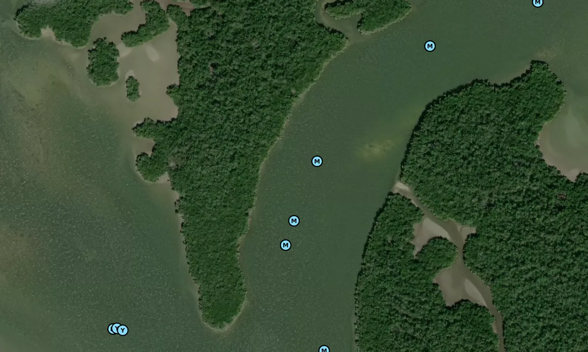 Satelite image of Russell Pass - 2