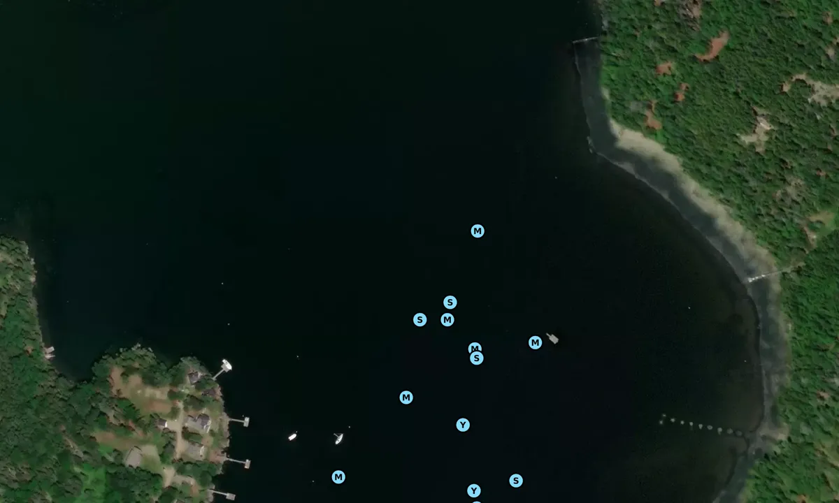 Satelite image of Ryder Cove