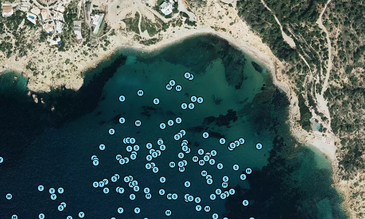 Satelite image of Sa Caixota