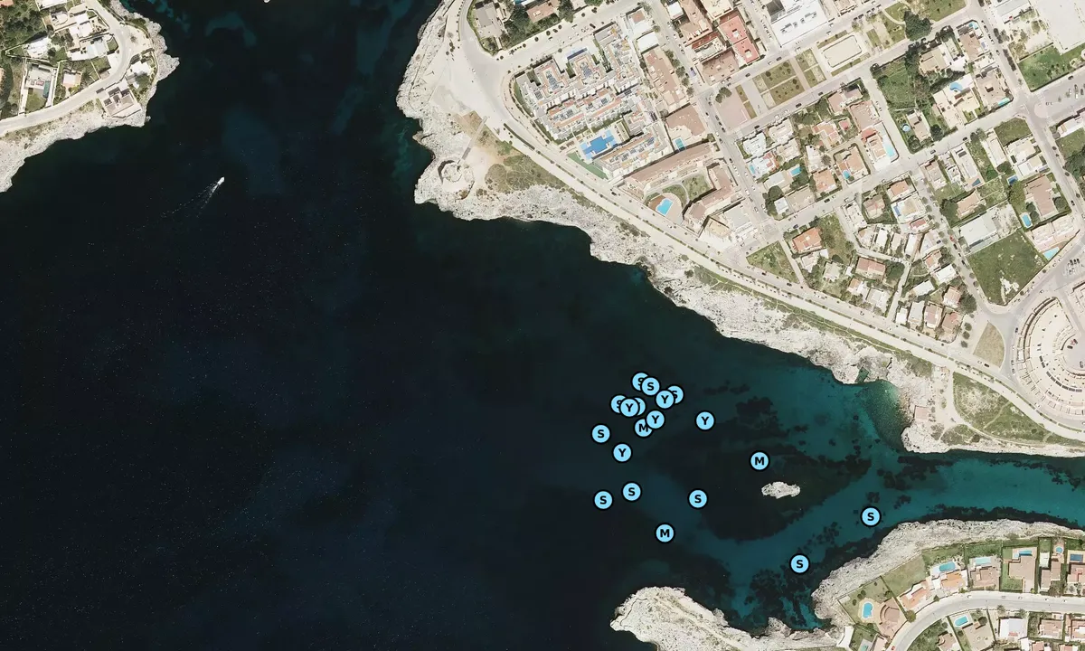 Satelite image of Sa Galera