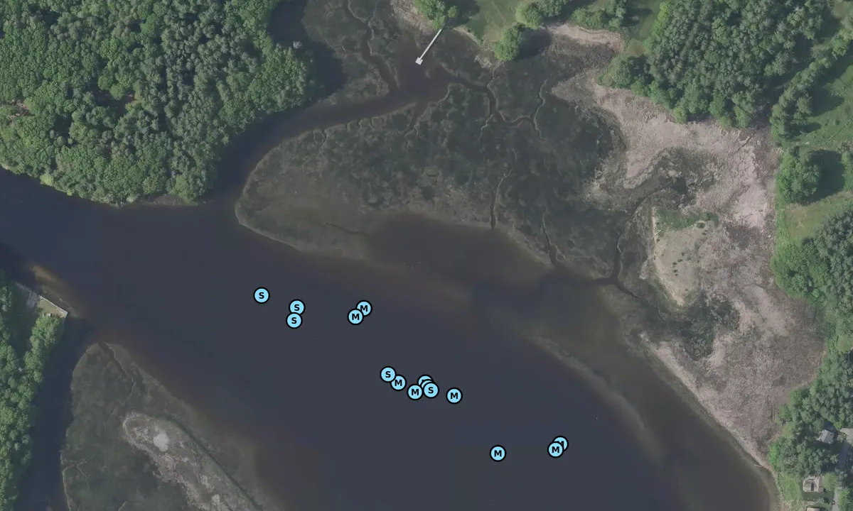 Satelite image of Saco Moorings
