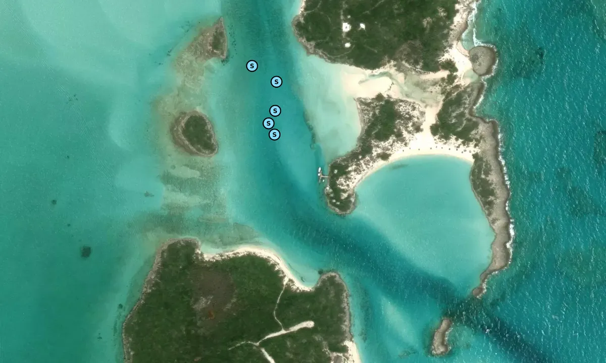 Satelite image of Saddleback Cay