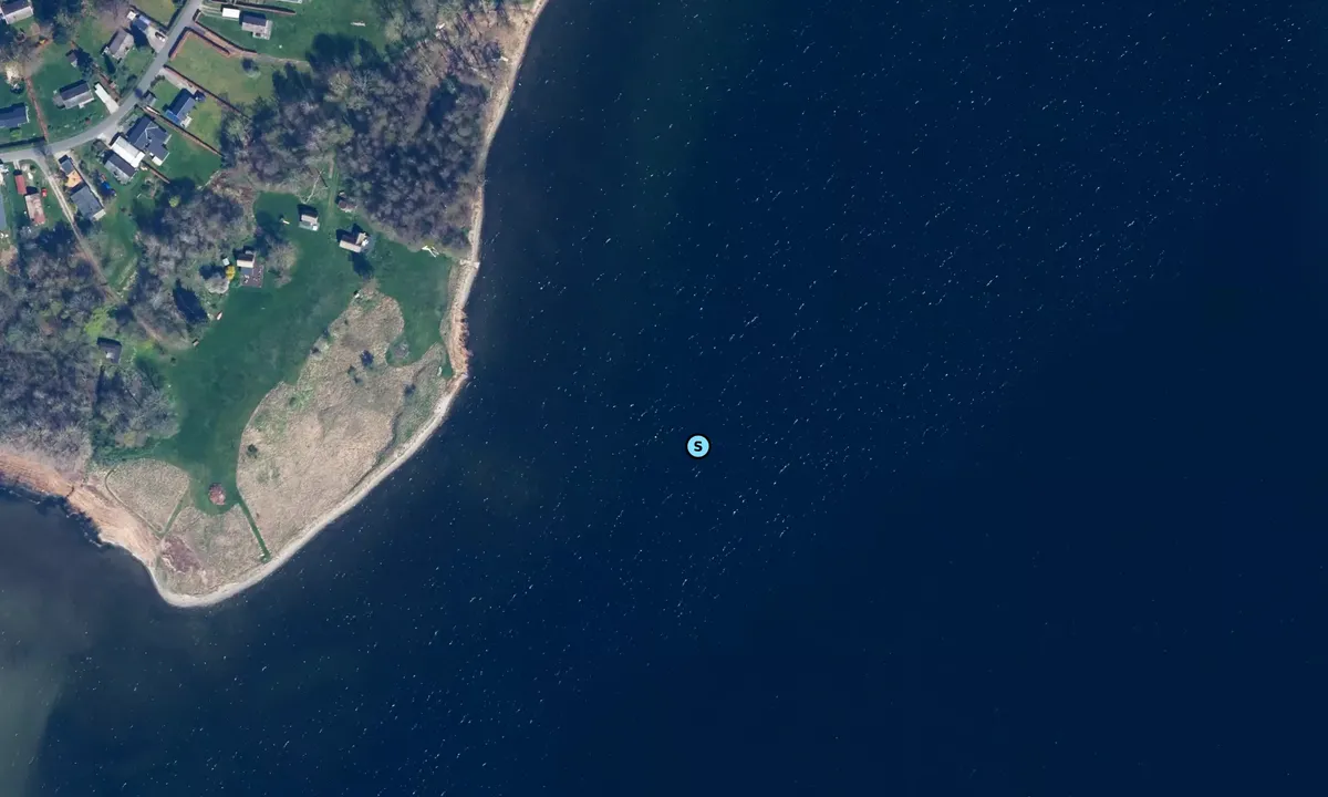 Satelite image of Sæby Skoven bouy