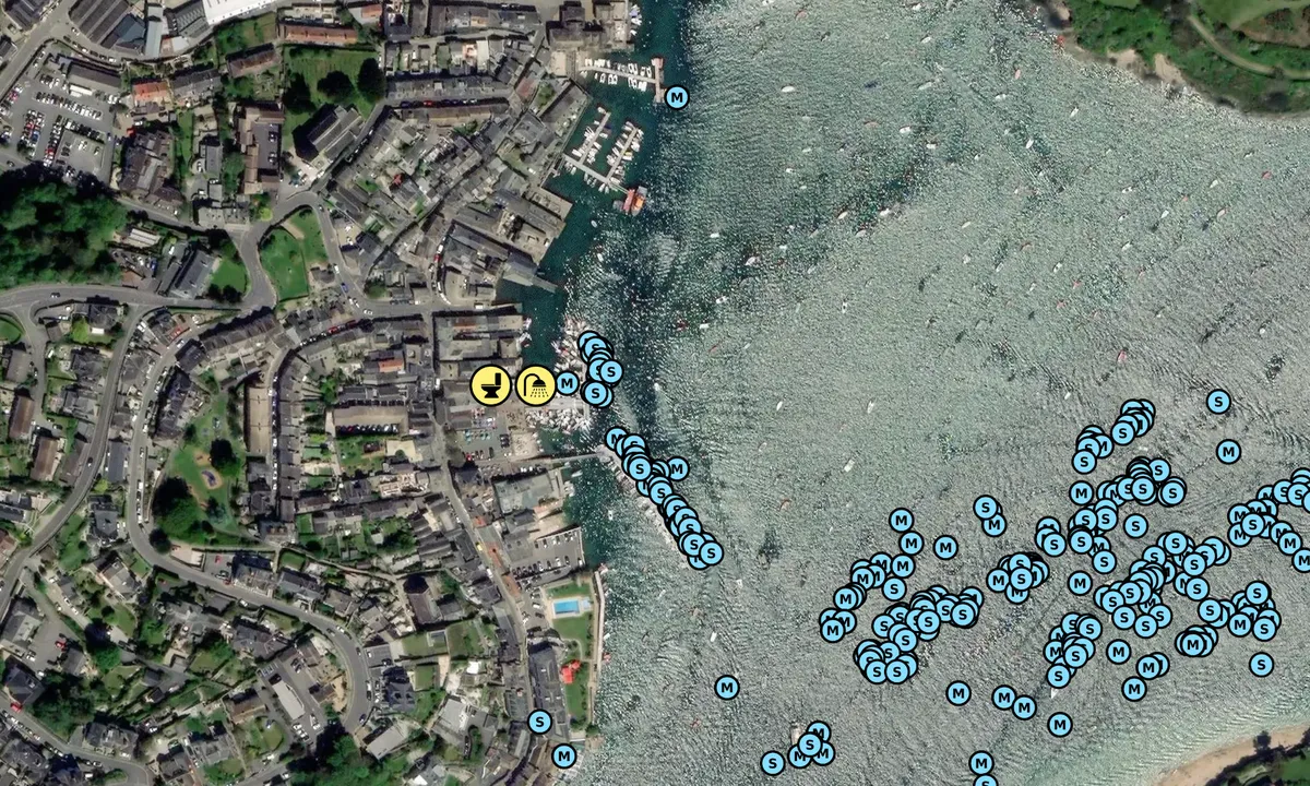 Satelite image of Salcombe Harbour