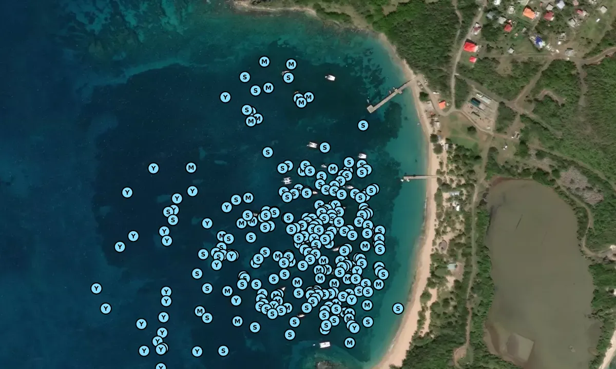 Satelite image of Saline Bay - Clifton