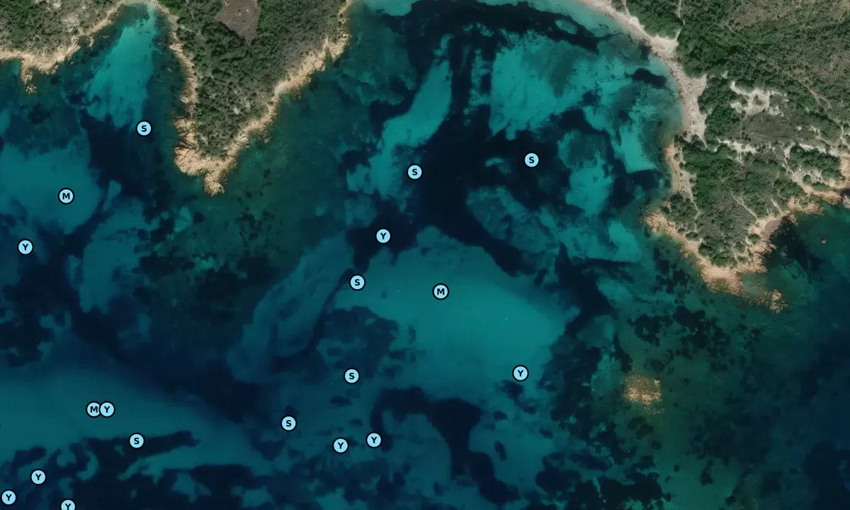 Satelite image of Salinedda