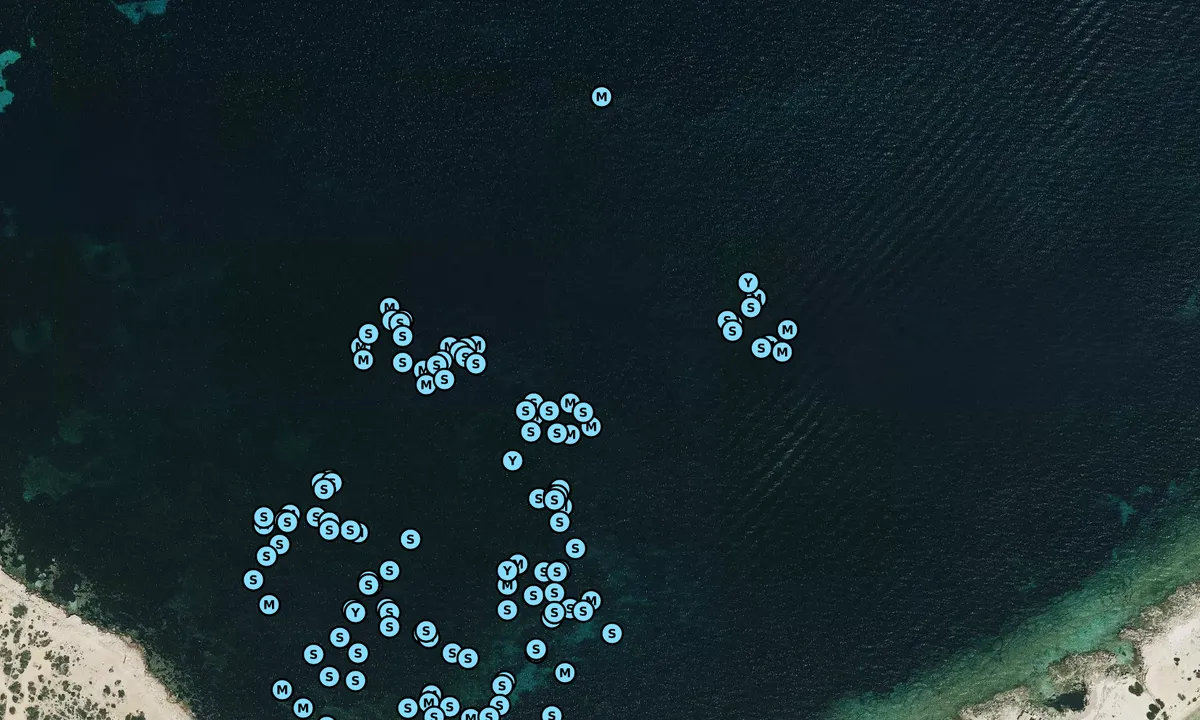 Satelite image of Salines Formentera