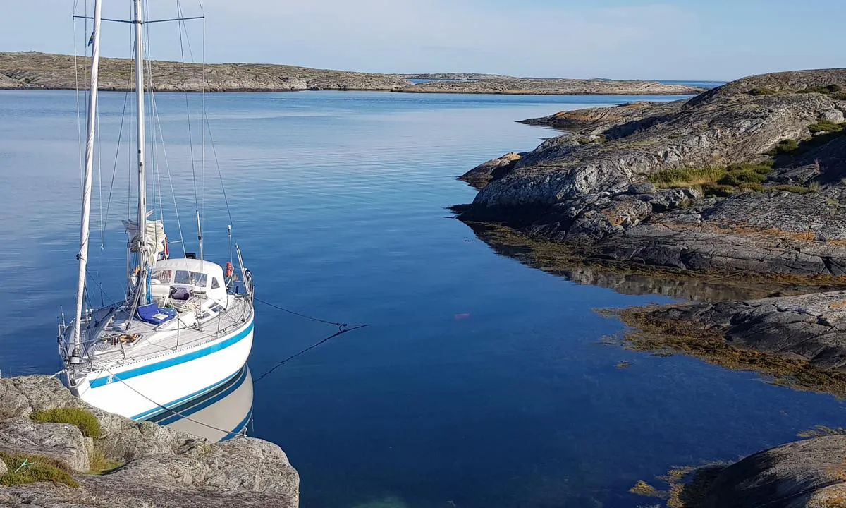 Sälsön: {"base": "no", "no": "En liten vik p\u00e5 S\u00e4ls\u00f6n. Bilde tatt fra nord. Noen bolter i fjell. Stein i innl\u00f8pet. Svai muligheter p\u00e5 utsiden ved rolige dager.", "se": "En liten vik p\u00e5 S\u00e4ls\u00f6n. Bild tagen fr\u00e5n norr. N\u00e5gra bultar i berget. Sten i inloppet. Svajm\u00f6jligheter p\u00e5 utsidan vid lugna dagar.", "en": "A small bay on S\u00e4ls\u00f6n. Photo taken from the north. Some bolts in the rock. Stones in the entrance. Swing options outside on calm days.", "da": "En lille vig p\u00e5 S\u00e4ls\u00f6n. Billede taget fra nord. Nogle bolte i fjeld. Sten ved indl\u00f8bet. Svaj muligheder p\u00e5 ydersiden ved rolige dage."}