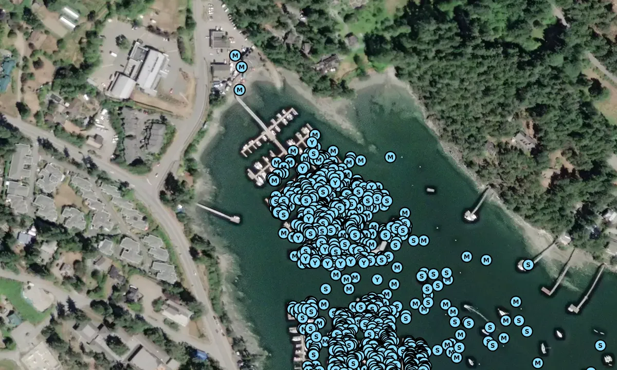 Satelite image of Salt Spring Marina