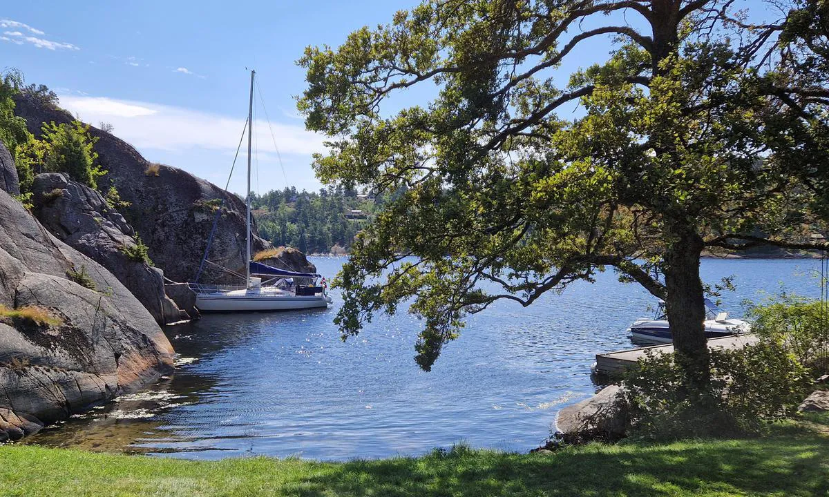 Saltbuholmen: {"base": "no", "no": "En rolig og rimelig beskyttet bukt. Noe b\u00e5ttrafikk, men lite av st\u00f8rre b\u00e5ter/b\u00f8lger p\u00e5 denne siden. Sandstrand innerst. Der seilb\u00e5ten p\u00e5 bildet ligger er eneste longside plass vi fant. Sv\u00e6rt godt beskyttet, men uten morgensol f\u00f8r i ti tiden", "se": "En lugn och rimligt skyddad vik. Lite b\u00e5ttrafik, men f\u00e5 st\u00f6rre b\u00e5tar/v\u00e5gor p\u00e5 den h\u00e4r sidan. Sandstrand l\u00e4ngst in. D\u00e4r segelb\u00e5ten p\u00e5 bilden ligger \u00e4r den enda l\u00e5ngsidesplatsen vi hittade. Mycket v\u00e4l skyddad, men utan morgonsol f\u00f6re tiotiden.", "en": "A calm and reasonably sheltered bay. Some boat traffic, but few larger boats/waves on this side. Sandy beach at the innermost part. Where the sailboat in the picture is located is the only longside berth we found. Very well protected, but without morning sun until around ten o'clock.", "da": "En rolig og rimeligt beskyttet bugt. Noget b\u00e5dtrafik, men f\u00e5 st\u00f8rre b\u00e5de/b\u00f8lger p\u00e5 denne side. Sandstrand inderst. Der, hvor sejlb\u00e5den p\u00e5 billedet ligger, er den eneste langsideplads, vi fandt. Meget godt beskyttet, men ingen morgensol f\u00f8r ved titiden."}