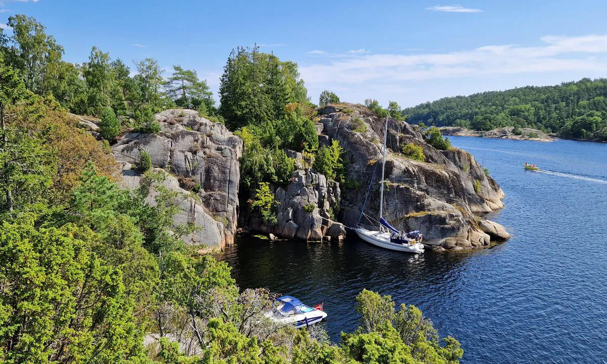 Saltbuholmen