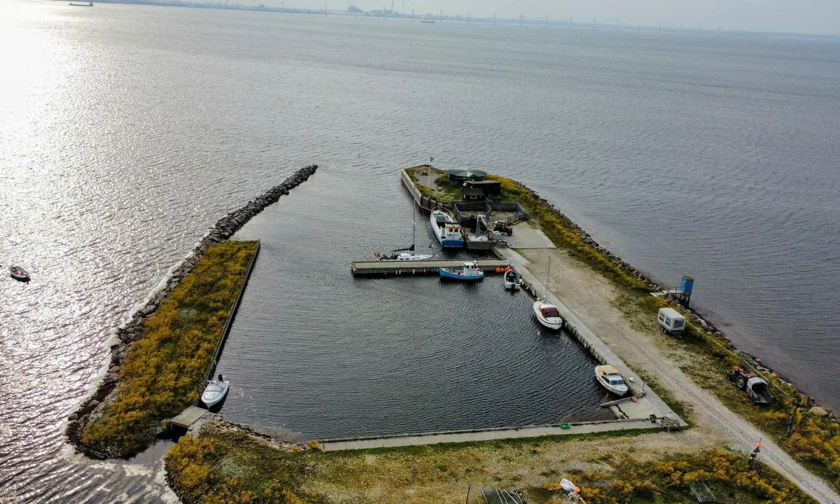 Saltholm Havn