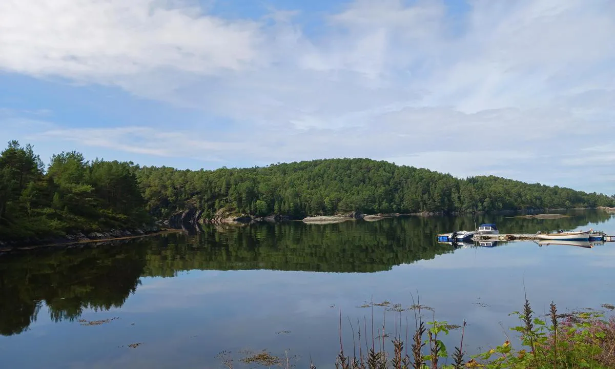 Saltkjelvik