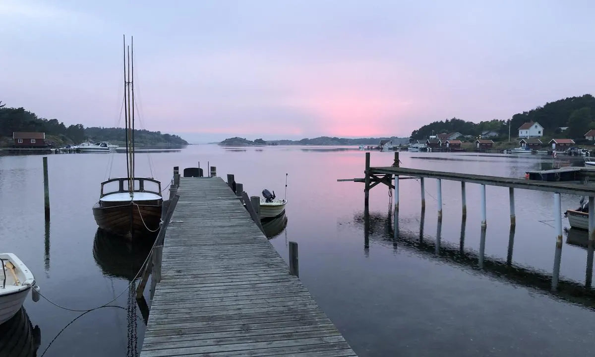 Saltö - Tjärnö marina laboratorium: {"base": "no", "no": "Kveldsstemning fra en av nabobryggene", "se": "Kv\u00e4llsst\u00e4mning fr\u00e5n en av grannbryggorna", "en": "Evening mood from one of the neighboring piers", "da": "Aftenstemning fra en af nabobroerne"}