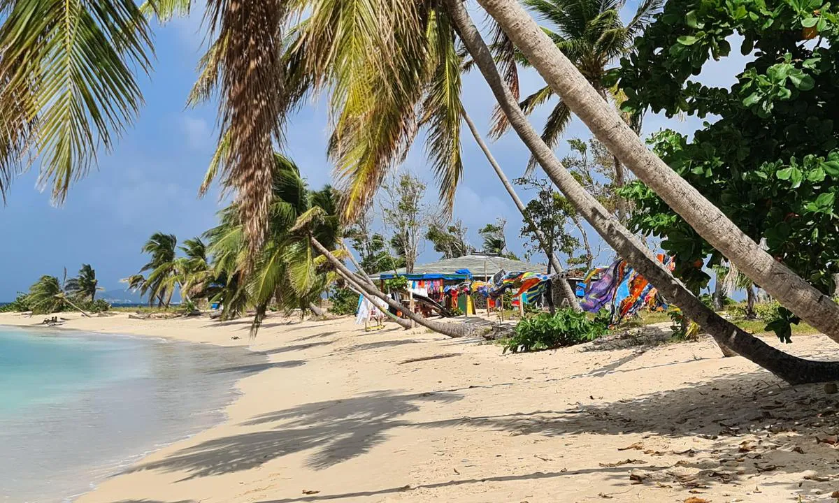 Saltwhistle Bay: {"base": "en", "no": "etter Berryl er noen palmetr\u00e6r borte, hotellet er \u00f8delagt, men det er fortsatt et vakkert sted \u00e5 v\u00e6re", "se": "efter Berryl \u00e4r n\u00e5gra palmtr\u00e4d borta, hotellet \u00e4r f\u00f6rst\u00f6rt, men det \u00e4r fortfarande en underbar plats att vara p\u00e5", "en": "after Berryl some palm trees are gone, the Hotel is destroyed, but still a beautiful place to be", "da": "efter Berryl er nogle palmetr\u00e6er v\u00e6k, hotellet er \u00f8delagt, men stadig et smukt sted at v\u00e6re"}