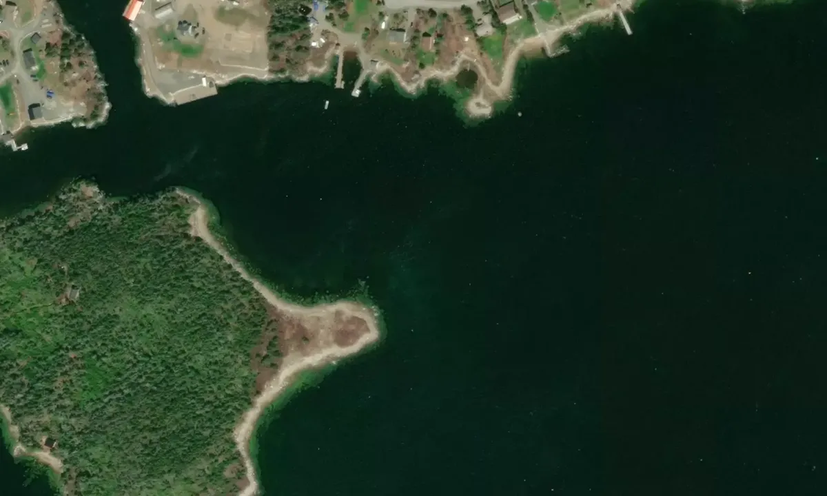 Satelite image of Sambro Harbour