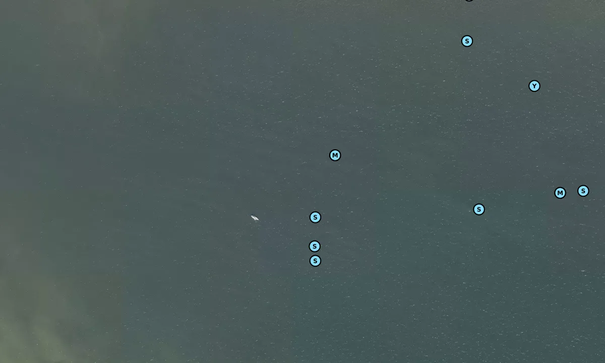 Satelite image of San Carlos Bay NW