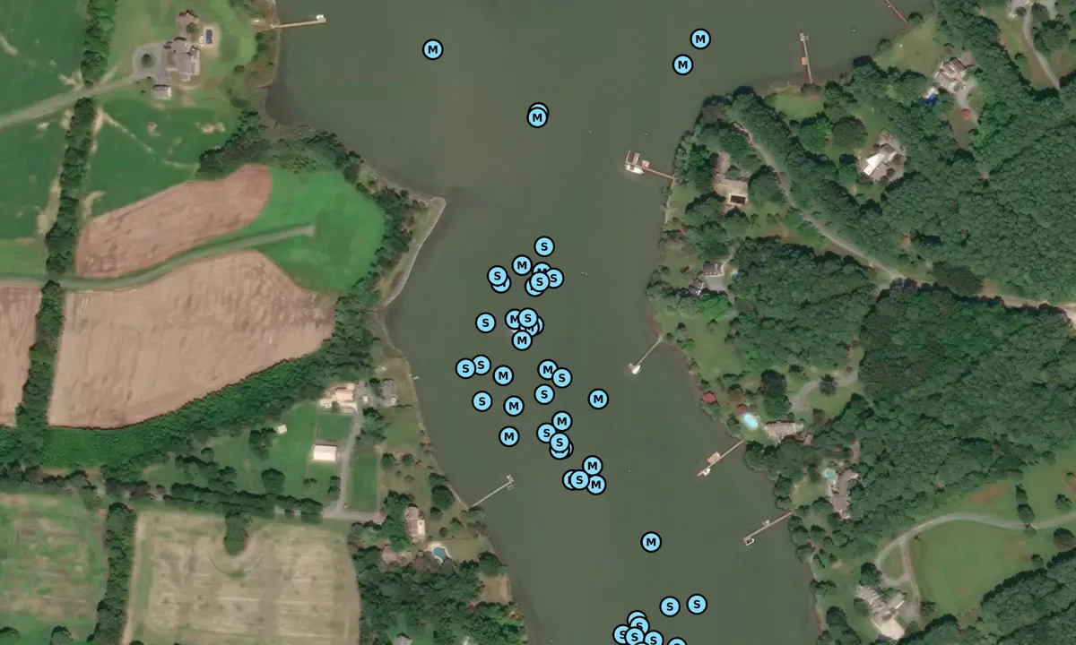 Satelite image of San Domingo Creek - 1