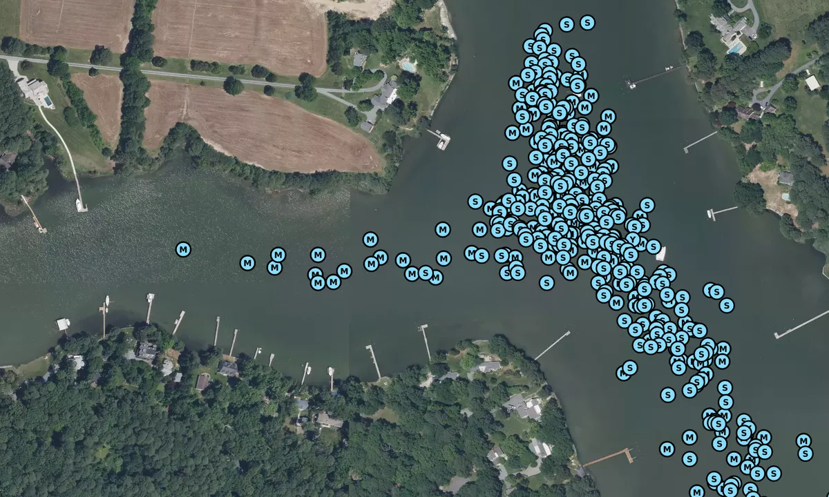 Satelite image of San Domingo Creek - 2