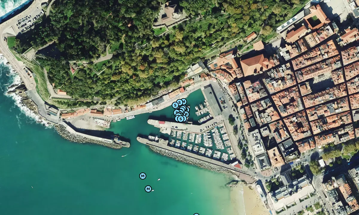 Satelite image of San Sebastian Marina