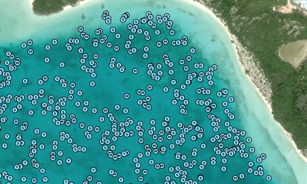 Satelite image of Sand Dollar Beach - George Town