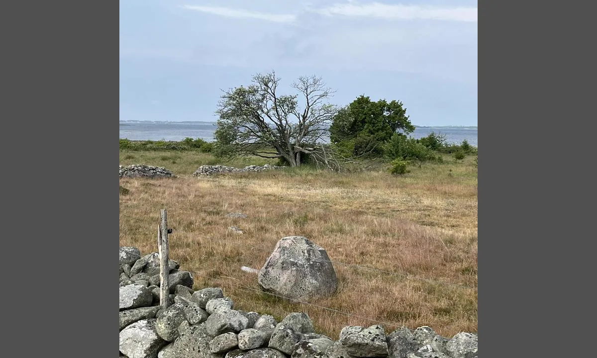 Naturbilde fra odden mellom Sandhamn og Torshamn. Fint for sykkel-, gå- eller løpetur!