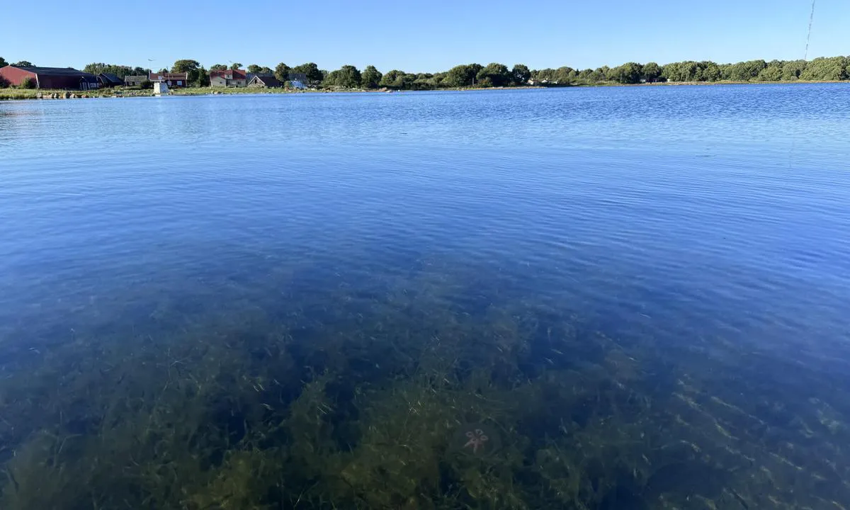 Sandhamn: {"base": "en", "no": "Krystallklart vann.", "se": "Kristallklart vatten.", "en": "Crystal clean water.", "da": "Krystalklart vand."}