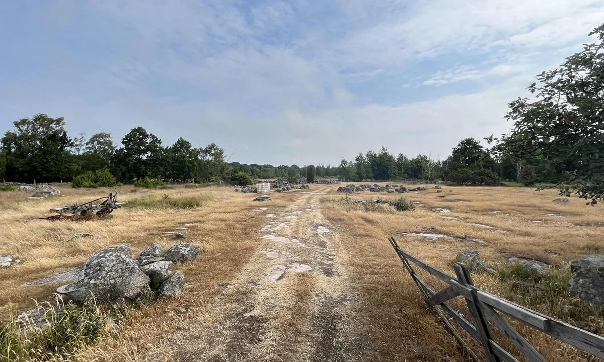 Sandhamn: {"base": "da", "no": "Fra odden", "se": "Fr\u00e5n udden", "en": "From the point", "da": "Fra odden"}