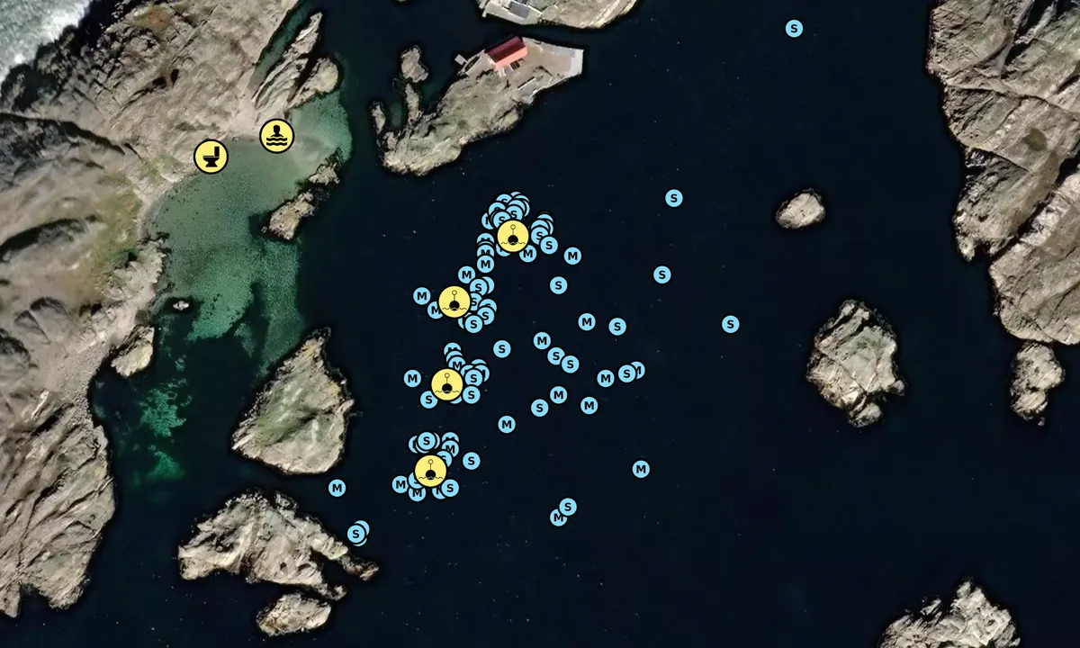 Satelite image of Sandholmen - SXK Västkust bouy