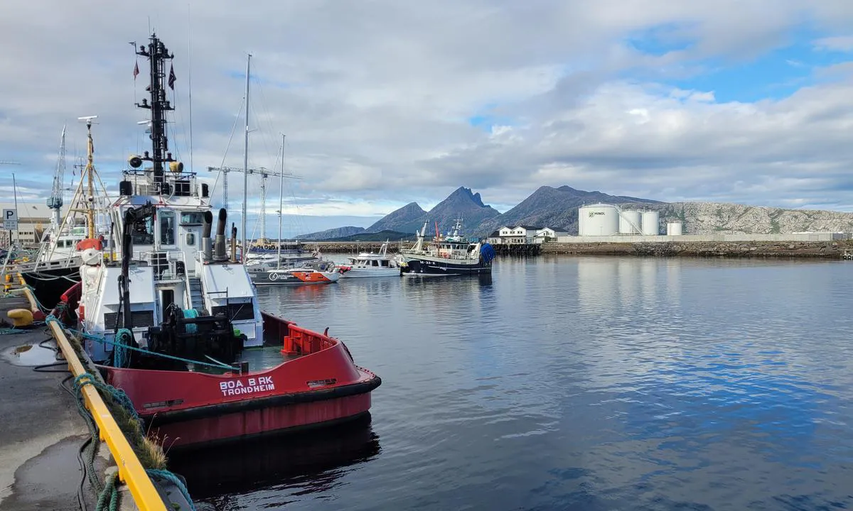 Sandnessjøen Gjestehavn (Sentrum)