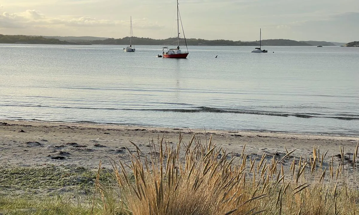 Sandøbukta: {"base": "no", "no": "Fin svaihavn i s\u00f8rlige vinder. Fantastisk fin sandstrand og fine turmuligheter.", "se": "Fin svajhamn i sydliga vindar. Fantastisk fin sandstrand och fina vandringsm\u00f6jligheter.", "en": "Excellent anchorage in southern winds. Wonderful sandy beach and great hiking opportunities.", "da": "Fin svajhavn i sydlige vinde. Fantastisk fin sandstrand og fine turmuligheder."}