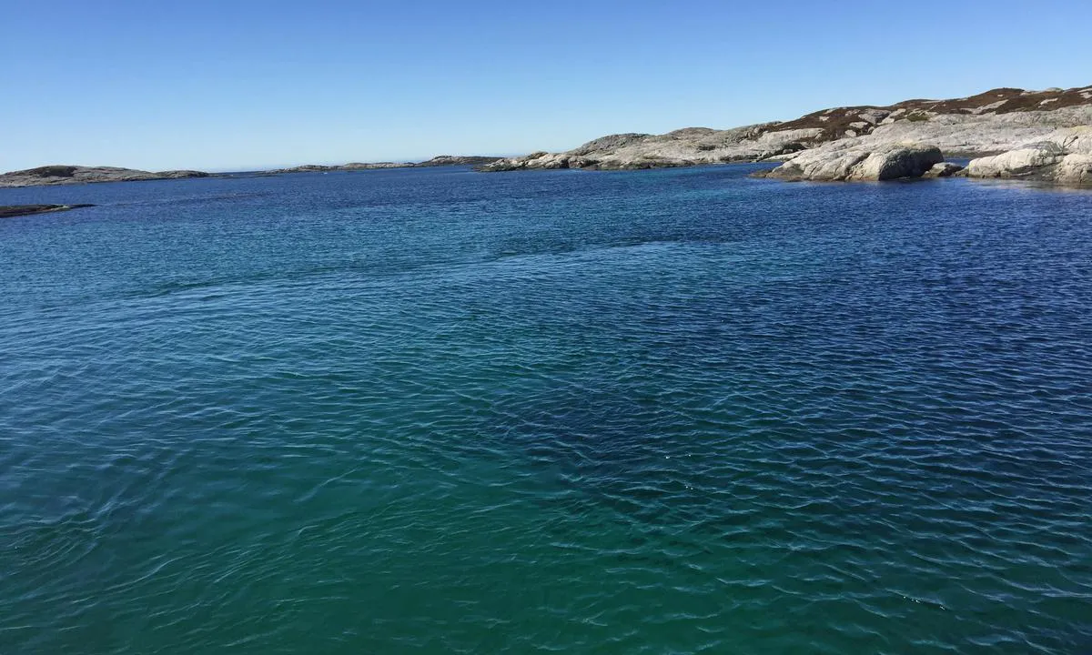 Sandøy - Turøy: {"base": "no", "no": "Til venstre i bildet ser man ryggen som strekker seg ut i innl\u00f8pet.", "se": "Till v\u00e4nster i bilden ser man rygg som str\u00e4cker sig ut i inloppet.", "en": "To the left in the image, one can see the ridge extending out into the entrance.", "da": "Til venstre p\u00e5 billedet ser man ryggen som str\u00e6kker sig ud i indl\u00f8bet.", "fr": "\u00c0 gauche de l'image, on voit la cr\u00eate qui s'\u00e9tend dans l'entr\u00e9e.", "de": "Links im Bild sieht man den R\u00fccken, der sich in die Einfahrt erstreckt.", "es": "A la izquierda en la imagen se ve la espalda que se extiende hacia la entrada.", "it": "A sinistra nell'immagine si vede la dorsale che si estende verso l'ingresso.", "pt": "\u00c0 esquerda na imagem v\u00ea-se a crista que se estende na entrada.", "nl": "Links op de foto ziet men de rug die zich uitstrekt naar de ingang.", "pl": "Po lewej stronie obrazu wida\u0107 grzbiet, kt\u00f3ry rozci\u0105ga si\u0119 w kierunku wej\u015bcia do portu.", "uk": "\u041b\u0456\u0432\u043e\u0440\u0443\u0447 \u043d\u0430 \u0437\u043e\u0431\u0440\u0430\u0436\u0435\u043d\u043d\u0456 \u0432\u0438\u0434\u043d\u043e \u0441\u043f\u0438\u043d\u0443, \u0449\u043e \u043f\u0440\u043e\u0441\u0442\u044f\u0433\u0430\u0454\u0442\u044c\u0441\u044f \u0432 \u0432\u0445\u0456\u0434\u043d\u0438\u0439 \u043a\u0430\u043d\u0430\u043b.", "ro": "\u00cen partea st\u00e2ng\u0103 a imaginii se vede coasta care se \u00eentinde p\u00e2n\u0103 la intrare.", "tr": "Resimde sol tarafta giri\u015fte uzanan s\u0131rt\u0131 g\u00f6rebilirsiniz.", "el": "\u03a3\u03c4\u03b1 \u03b1\u03c1\u03b9\u03c3\u03c4\u03b5\u03c1\u03ac \u03c3\u03c4\u03b7\u03bd \u03b5\u03b9\u03ba\u03cc\u03bd\u03b1 \u03b2\u03bb\u03ad\u03c0\u03b5\u03b9 \u03ba\u03b1\u03bd\u03b5\u03af\u03c2 \u03c4\u03b7\u03bd \u03c1\u03ac\u03c7\u03b7 \u03c0\u03bf\u03c5 \u03b5\u03ba\u03c4\u03b5\u03af\u03bd\u03b5\u03c4\u03b1\u03b9 \u03c3\u03c4\u03b7\u03bd \u03b5\u03af\u03c3\u03bf\u03b4\u03bf.", "cs": "Vlevo na obr\u00e1zku vid\u00edte h\u0159bet, kter\u00fd se t\u00e1hne do vstupu.", "hu": "A k\u00e9pen balra l\u00e1that\u00f3 a gerinc, amely beny\u00falik a bej\u00e1rathoz.", "fi": "Vasemmalla kuvassa n\u00e4kyy selk\u00e4, joka ulottuu sis\u00e4\u00e4nk\u00e4yntiin.", "bg": "\u0412\u043b\u044f\u0432\u043e \u043d\u0430 \u0441\u043d\u0438\u043c\u043a\u0430\u0442\u0430 \u0441\u0435 \u0432\u0438\u0436\u0434\u0430 \u0445\u0440\u0435\u0431\u0435\u0442\u044a\u0442, \u043a\u043e\u0439\u0442\u043e \u0441\u0435 \u043f\u0440\u043e\u0441\u0442\u0438\u0440\u0430 \u043a\u044a\u043c \u0432\u0445\u043e\u0434\u0430.", "sr": "Levo na slici vidi se greben koji se prote\u017ee prema ulazu.", "et": "Vasakul pildil n\u00e4ete seljandikku, mis ulatub sissep\u00e4\u00e4su juurde.", "lv": "Pa kreisi att\u0113l\u0101 var redz\u0113t muguru, kas izstiepjas ieej\u0101.", "lt": "Kair\u0117je paveikslo pus\u0117je matyti ky\u0161ulys, kuris driekiasi \u012f \u012fplauk\u0105."}