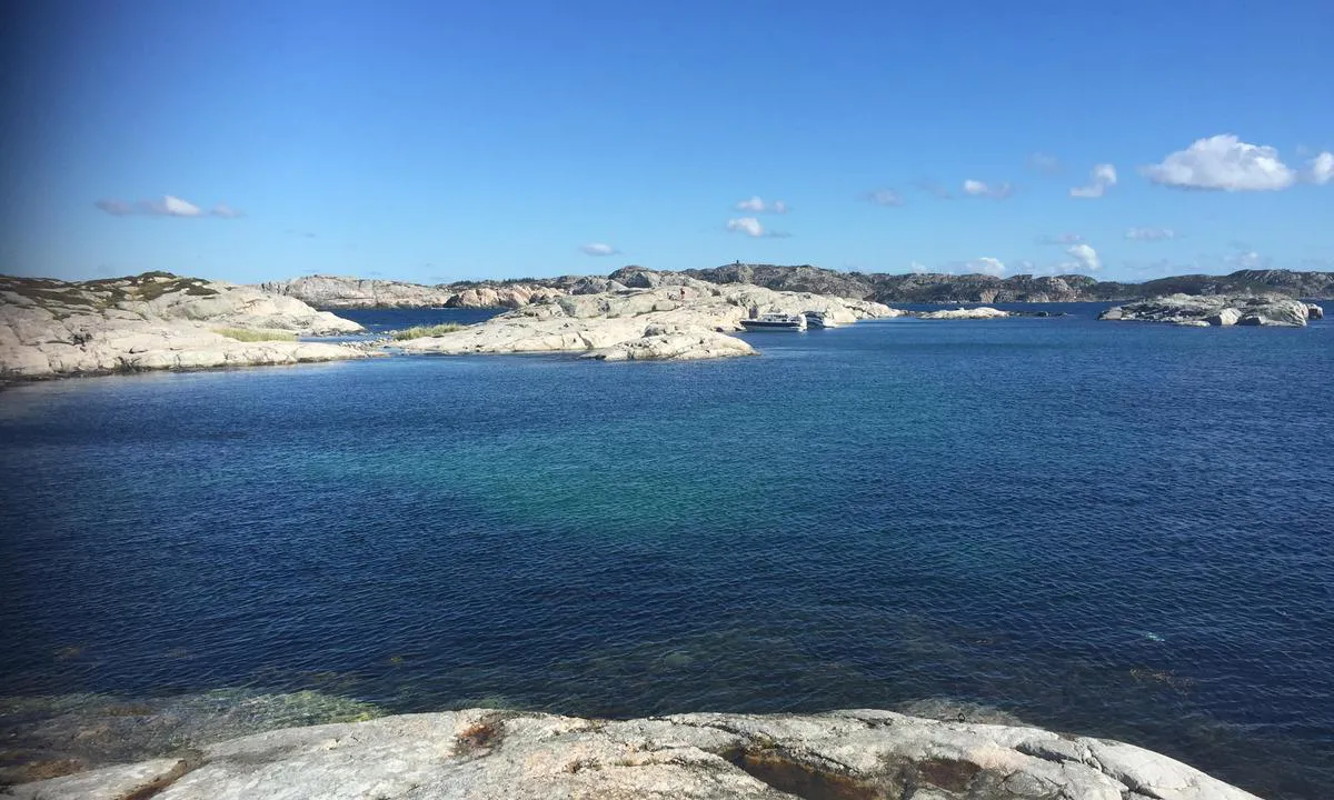 Sandøy - Turøy: {"base": "no", "no": "Fra vest mot \u00f8st, lagunen lengst bak hvor b\u00e5tene ligger.", "se": "Fr\u00e5n v\u00e4st mot \u00f6st, lagunen l\u00e4ngst bak d\u00e4r b\u00e5tarna ligger.", "en": "From west to east, the lagoon at the far back where the boats are moored.", "da": "Fra vest mod \u00f8st, lagunen l\u00e6ngst bagved hvor b\u00e5dene ligger.", "fr": "De l'ouest vers l'est, le lagon tout au fond o\u00f9 se trouvent les bateaux.", "de": "Von West nach Ost, die Lagune ganz hinten, wo die Boote liegen.", "es": "De oeste a este, la laguna m\u00e1s al fondo donde est\u00e1n los barcos.", "it": "Da ovest verso est, la laguna pi\u00f9 lontana dove si trovano le barche.", "pt": "De oeste para leste, a lagoa mais ao fundo onde os barcos est\u00e3o ancorados.", "nl": "Van west naar oost, de lagune helemaal achterin waar de boten liggen.", "pl": "Od zachodu do wschodu, laguna najdalej w tyle, gdzie znajduj\u0105 si\u0119 \u0142odzie.", "uk": "\u0417 \u0437\u0430\u0445\u043e\u0434\u0443 \u043d\u0430 \u0441\u0445\u0456\u0434, \u043b\u0430\u0433\u0443\u043d\u0430 \u0434\u0430\u043b\u0456 \u043f\u043e\u0437\u0430\u0434\u0443, \u0434\u0435 \u0441\u0442\u043e\u044f\u0442\u044c \u0447\u043e\u0432\u043d\u0438.", "ro": "De la vest spre est, laguna cea mai \u00eendep\u0103rtat\u0103 unde sunt ancorate b\u0103rcile.", "tr": "Bat\u0131dan do\u011fuya, teknelerin bulundu\u011fu en arkadaki lag\u00fcn.", "el": "\u0391\u03c0\u03cc \u03b4\u03c5\u03c4\u03b9\u03ba\u03ac \u03c0\u03c1\u03bf\u03c2 \u03b1\u03bd\u03b1\u03c4\u03bf\u03bb\u03b9\u03ba\u03ac, \u03b7 \u03bb\u03b9\u03bc\u03bd\u03bf\u03b8\u03ac\u03bb\u03b1\u03c3\u03c3\u03b1 \u03c0\u03b9\u03bf \u03c0\u03af\u03c3\u03c9 \u03cc\u03c0\u03bf\u03c5 \u03b2\u03c1\u03af\u03c3\u03ba\u03bf\u03bd\u03c4\u03b1\u03b9 \u03c4\u03b1 \u03c3\u03ba\u03ac\u03c6\u03b7.", "cs": "Od z\u00e1padu na v\u00fdchod, laguna \u00fapln\u011b vzadu, kde kotv\u00ed lod\u011b.", "hu": "Nyugatr\u00f3l kelet fel\u00e9, a legbels\u0151 lag\u00fana, ahol a haj\u00f3k fekszenek.", "fi": "L\u00e4nnest\u00e4 it\u00e4\u00e4n, laguuni kaukana takana miss\u00e4 veneet sijaitsevat.", "bg": "\u041e\u0442 \u0437\u0430\u043f\u0430\u0434 \u043d\u0430 \u0438\u0437\u0442\u043e\u043a, \u043b\u0430\u0433\u0443\u043d\u0430\u0442\u0430 \u043d\u0430\u0439-\u043d\u0430\u0437\u0430\u0434, \u043a\u044a\u0434\u0435\u0442\u043e \u043b\u043e\u0434\u043a\u0438\u0442\u0435 \u0441\u0430 \u0440\u0430\u0437\u043f\u043e\u043b\u043e\u0436\u0435\u043d\u0438.", "sr": "Od zapada ka istoku, laguna u pozadini gde su usidrene brodovi.", "et": "L\u00e4\u00e4nest itta, k\u00f5ige tagumine laguuni osa, kus paadid asuvad.", "lv": "No rietumiem uz austrumiem, vist\u0101l\u0101k eso\u0161\u0101 lag\u016bna, kur ir novietotas laivas.", "lt": "Nuo vakar\u0173 link ryt\u0173, lag\u016bna giliausiai gale, kur stovi laivai."}