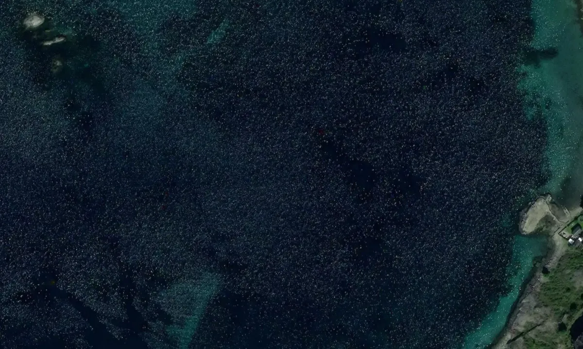 Satelite image of Sandviga