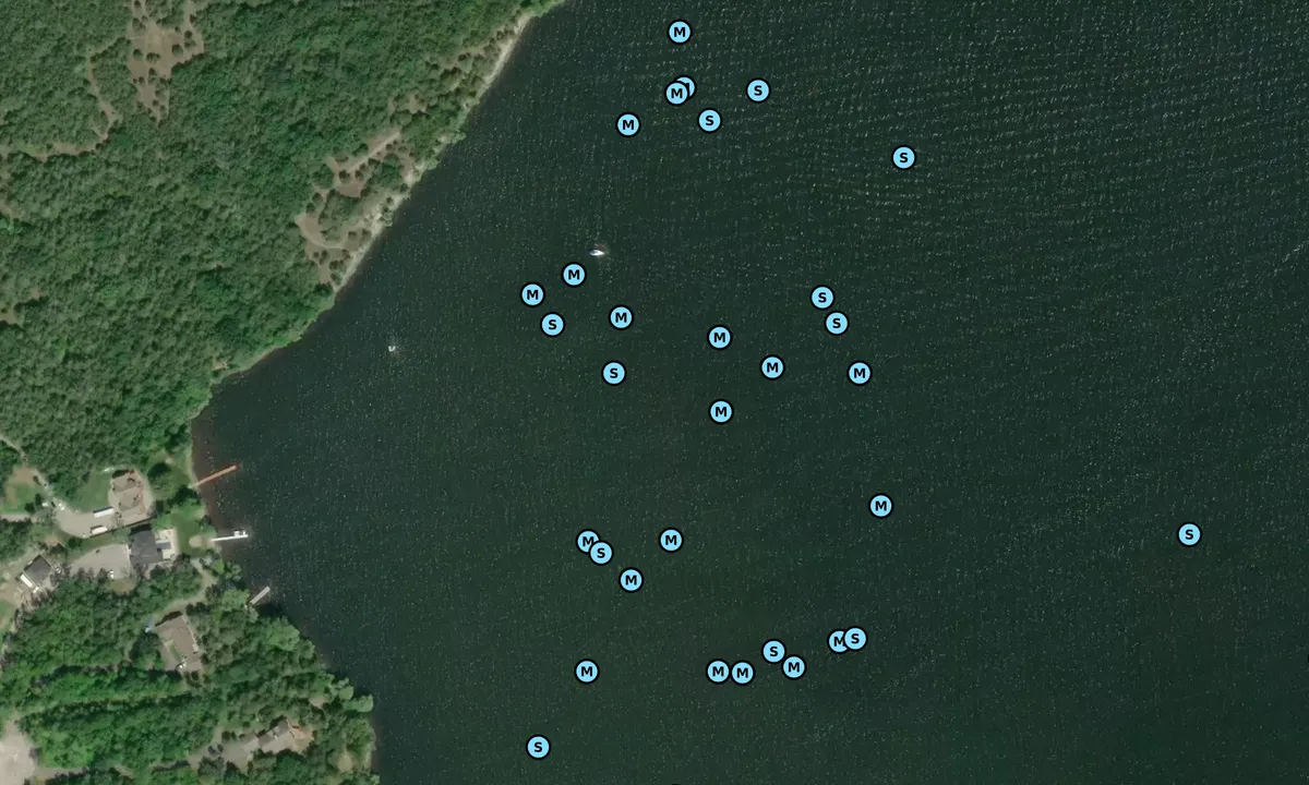 Satelite image of Sandy Cove - Prince Edward