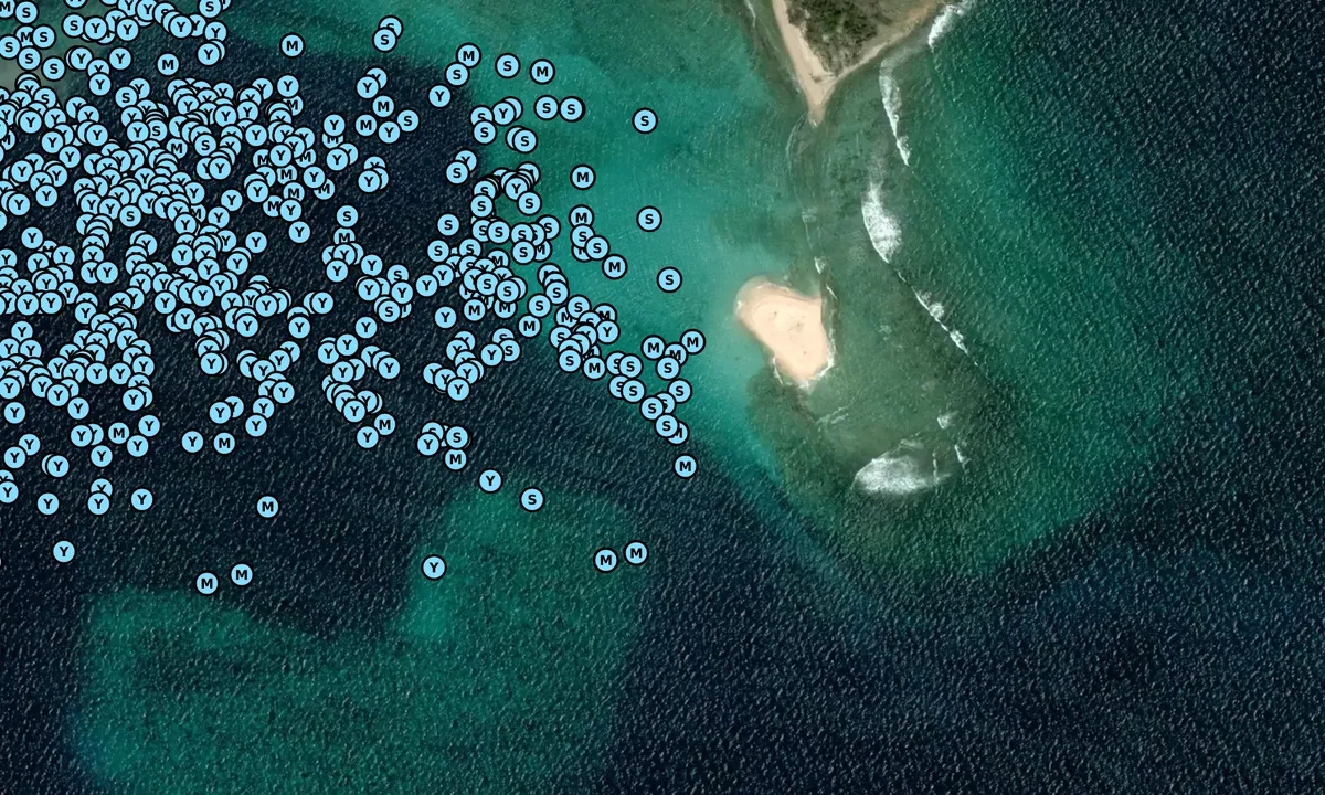 Satelite image of Sandy Spit - Jost Van Dyke
