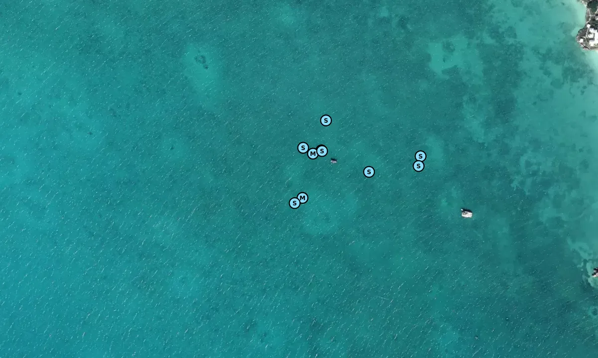 Satelite image of Sapodilla Bay - Wheeland Settlement