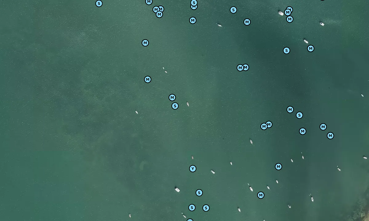 Satelite image of Sarasota Bay
